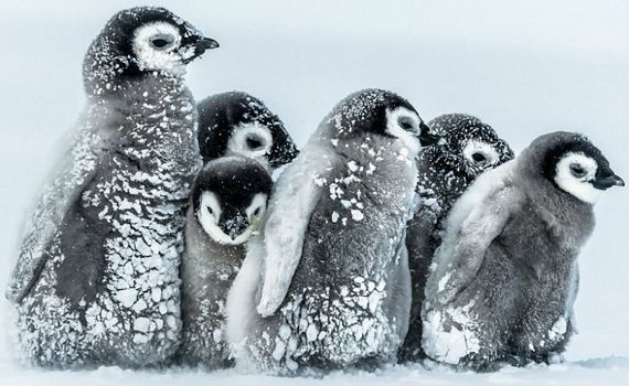 seven worlds one planet