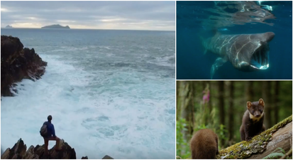 Remain calm, but Ireland is getting its own version of Planet Earth