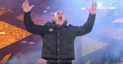 WWE fans were left outraged after the ridiculously short main event of Fastlane… except for this one guy