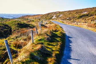 A county-by-county breakdown of the 435 private roads to benefit from €10 million rural improvement scheme
