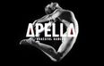 JOE’s New Song of the Day #389: Apella – ‘Graceful Dancer’