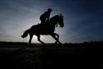 These are 5 bets for Cheltenham that are definitely worth a small flutter