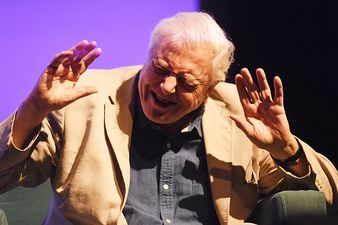 VIDEO: David Attenborough’s Blue Planet, including music from the brilliant Hans Zimmer, is coming back