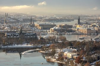 A vehicle has driven into pedestrians in the Swedish capital of Stockholm