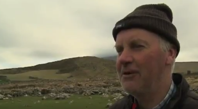 WATCH: Kerry farmer offers €2,000 reward for any information leading to the return of up to 60 sheep