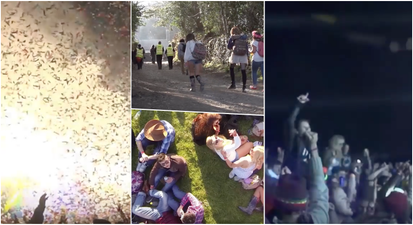 Looking for something to do on Good Friday? You should go to this brilliant BYOB festival