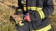 PICS: Cork firefighter gives rabbit caught in gorse fire a drink from a water bottle