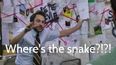 The internet has gone a little nuts trying to find the snake in this picture