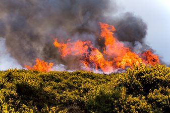PIC: NASA release aerial photo of Ireland’s gorse fires