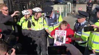 WATCH: Gardaí remove Vera Twomey from her sit down protest outside the Dáil