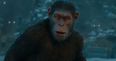 #TRAILERCHEST: The final trailer for War for the Planet of the Apes is an action-packed stunner