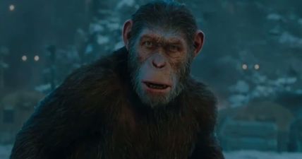 #TRAILERCHEST: The final trailer for War for the Planet of the Apes is an action-packed stunner