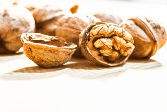 Feed your brain: The best food to get you fired up for work