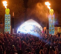 COMPETITION: You could win 2 tickets to the Townlands Carnival