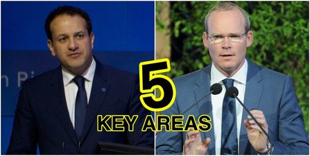 Why Simon Coveney and Leo Varadkar are two peas in a Fine Gael pod