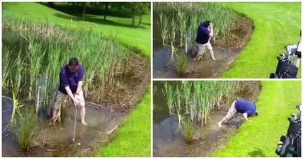 WATCH: Never has a funnier golf shot been struck in Ireland than this one at Shane Lowry’s home club in Offaly