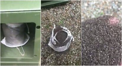 WATCH: There’s something very satisfying about seeing this midge trap in Donegal emptied out