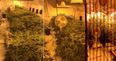 PICS: Four men arrested following investigation in three counties after discovery of cannabis growhouse