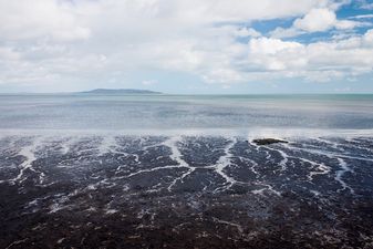 A swimming ban has been put in place at some major Dublin beaches