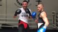 Pro boxer who sparred with McGregor doubles down on claims about McGregor’s chances