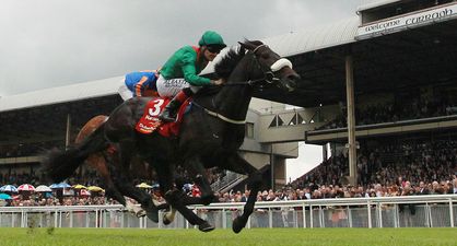 WIN: Tickets for you and three friends to SportsJOE Derby Friday at the Curragh