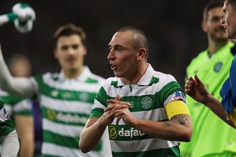 Everyone reacts in the same way as Linfield land potential Champions League clash with Celtic