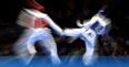 The reason the World Taekwondo Federation has to change its name is brilliant