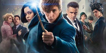 If you’re a Harry Potter fan, this Fantastic Beasts reunion will make very, VERY good news