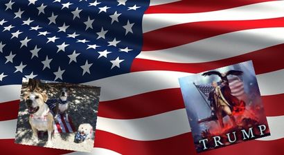 America, you rock: A deep dive into the weird world of 4th of July memes