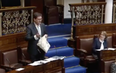 VIDEO: Green Party leader Eamon Ryan brought a bag of rubbish into the Dáil today