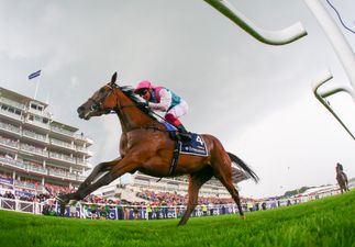 COMPETITION: Win 2 tickets to the Darley Irish Oaks and an amazing lunch in the Champagne Bar