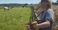WATCH: Sharon Shannon gets mobbed by herd of cows while playing a tune