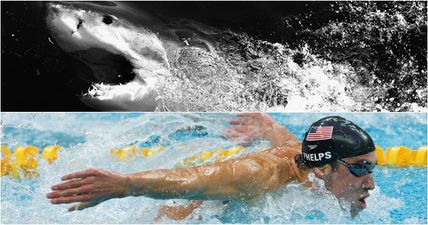 Michael Phelps raced “a shark” but viewers were left underwhelmed