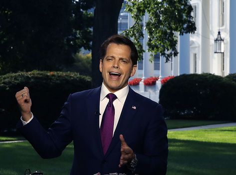 Scaramucci big brother