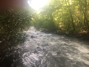 JOE Backpacking Diary #1 – “Jesus is my Lord, Donald Trump is my President”