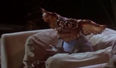 ‘Twisted and dark’ Gremlins 3 script is complete and a movie is on the way