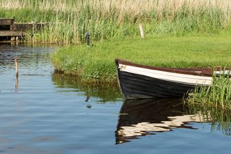 Six river bodies identified as the worst polluted in Ireland in environmental report