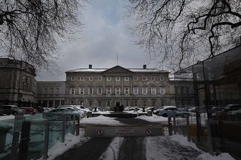 Calls for TD Finian McGrath to step down after HPV vaccine comments