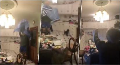 WATCH: A bat flies into a house in Kerry and absolute chaos ensues