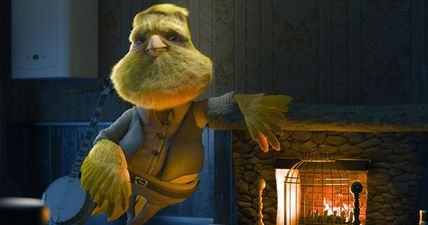 COMPETITION: You could win €1000 in Carbon Monoxide Awareness Week’s “Feather Hunt”