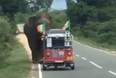 VIDEO: Irishman in Sri Lanka should probably not have stopped to feed this wild elephant