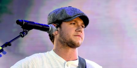 Niall Horan sends free pizza to fans queuing for his show in Hollywood