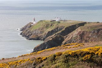 Dublin running trail named one of the best in the entire world