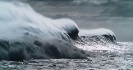 WATCH: The first trailer for Blue Planet II has arrived and it’s as mesmerising as you’d expect