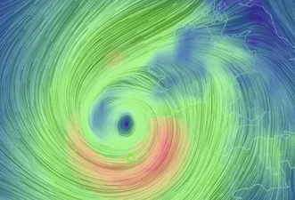 A woman has been confirmed dead in Waterford after a tree fell on her car