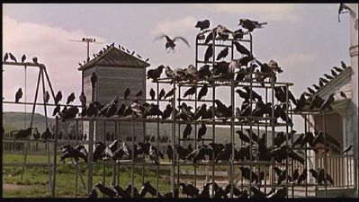 31 Days Of Hallowe’en: The Birds (1963)