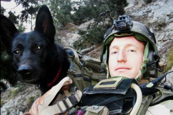 The trailer for HBO’s new documentary on military K9 units is a tactical missile on your tear-ducts
