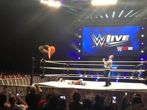 FEATURE: WWE Dublin proved that wrestling is anything but fake