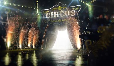 Big change coming to circuses as wild animals banned from new year