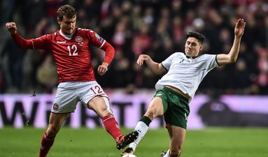 These Irish fans went to great lengths to ensure that they got into the Denmark game